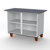 Rolling Workbench with 40" Wide Cabinet